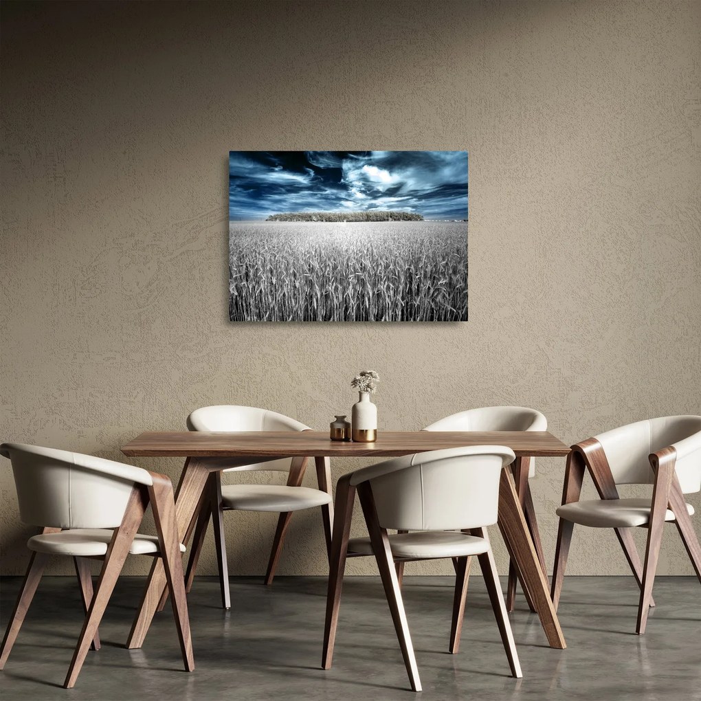 Tablou pe sticlă cu câmp (70x50 cm)