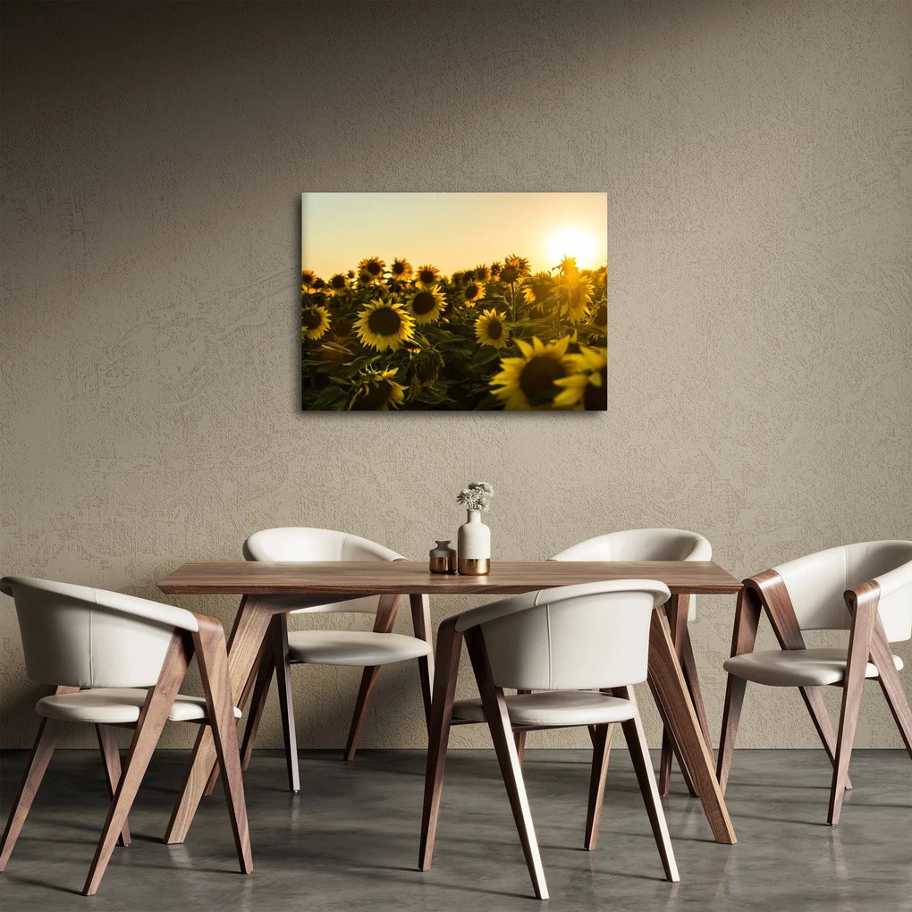 Tablou cu lan de floarea soarelui (70x50 cm)