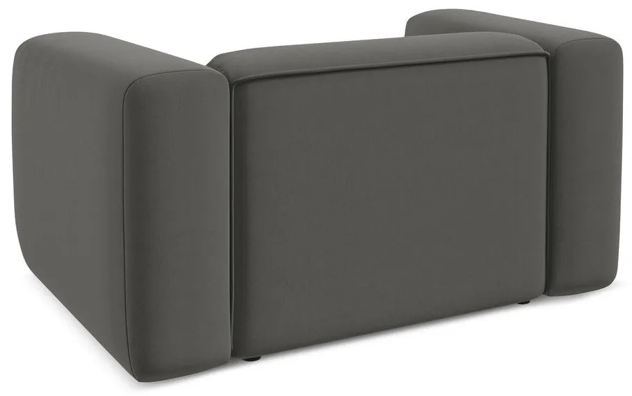 Fotoliu gri cu tapițerie din catifea Ekahi – Makamii