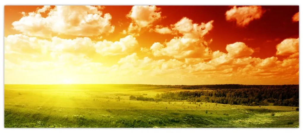 Tablou cu luncă cu soarele strălucitor (120x50 cm)