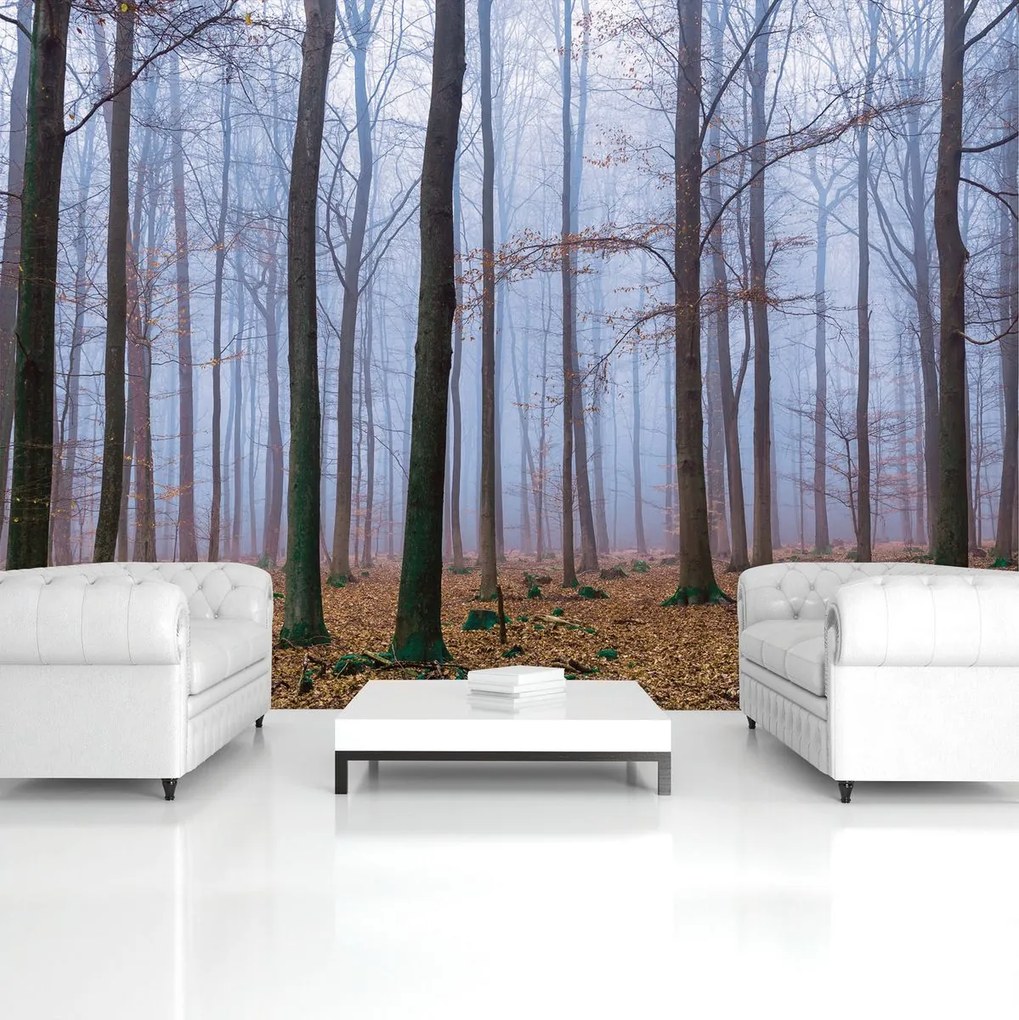 Fototapet - Pădure (152,5x104 cm)
