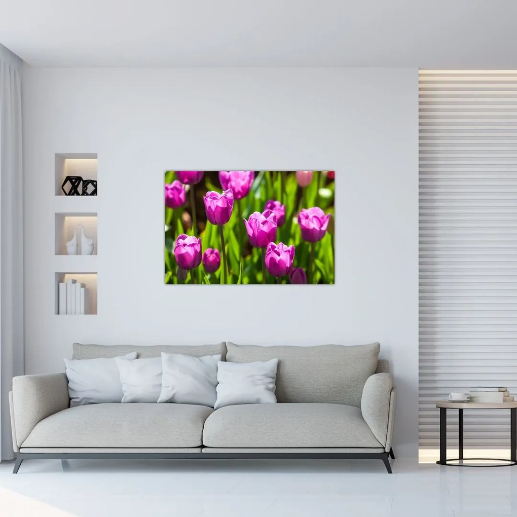 Tablou cu lale pe luncă (90x60 cm)