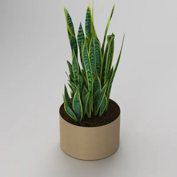 Ghiveci 11x17 cm auriu