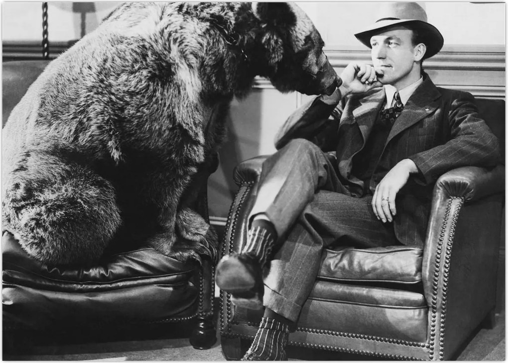 Tablou - Circ (70x50 cm)