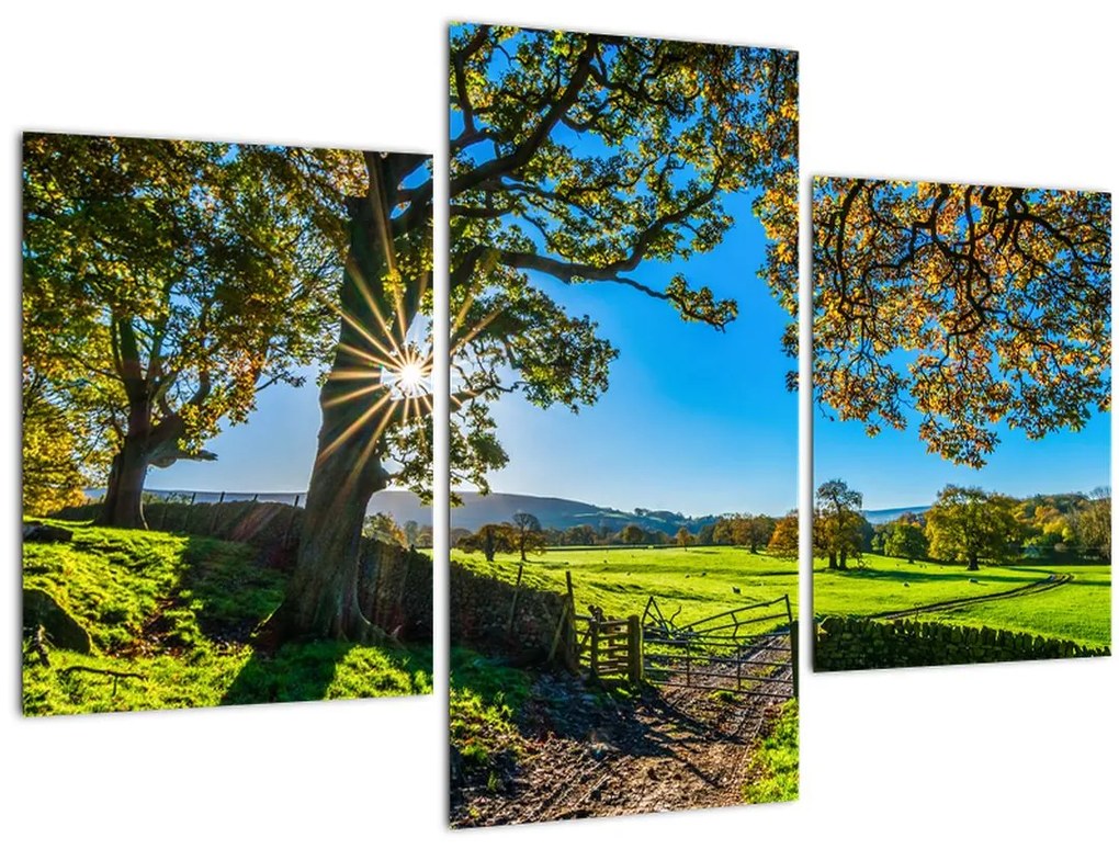 Tablou Privire la câmp (90x60 cm)