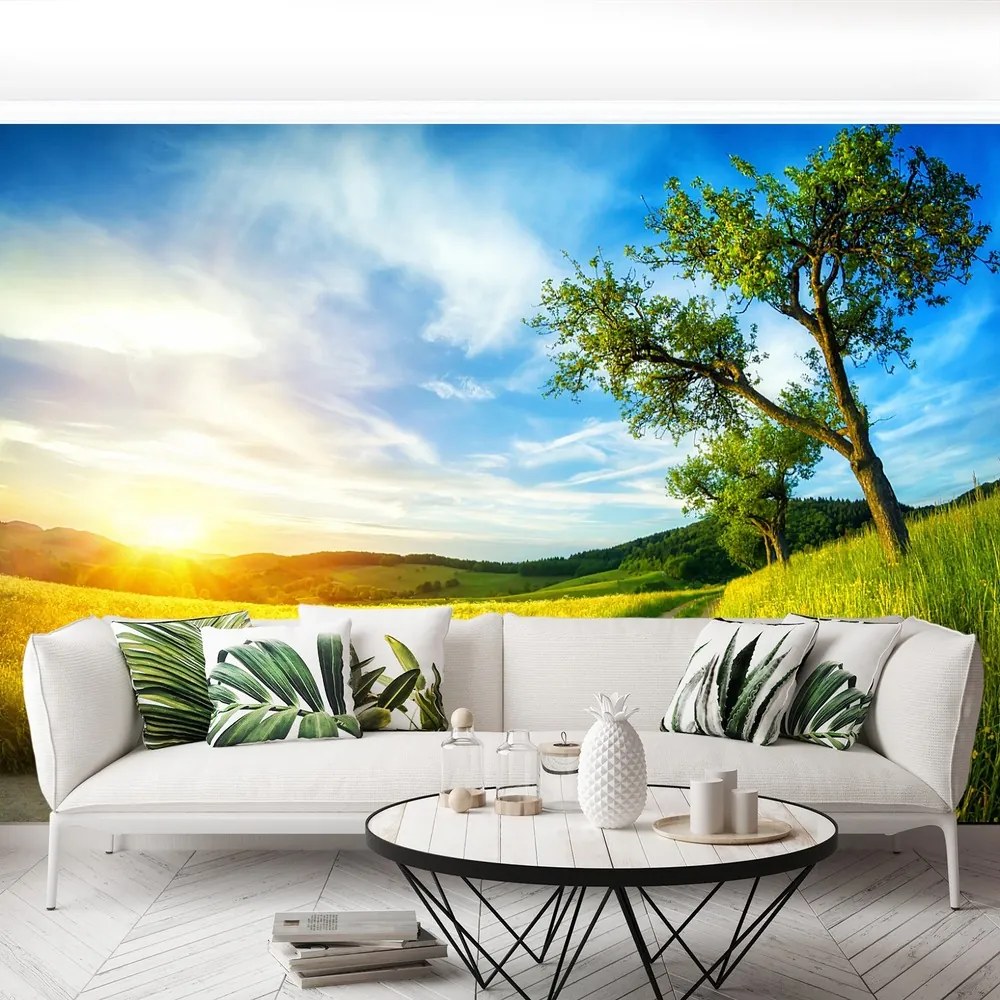Fototapet Meadow copac