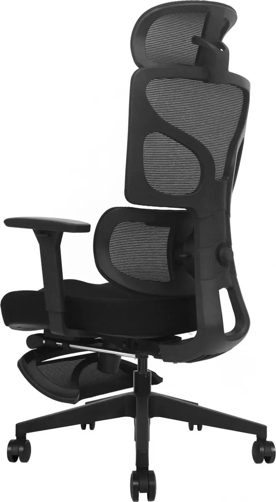 AEROFORM PRO – Scaun Ergonomic Premium, Suport Lombar cu arc, Cotiere 3D, Tetieră reglabilă, Șezut glisant, Suport pentru picioare extensibil, Negru