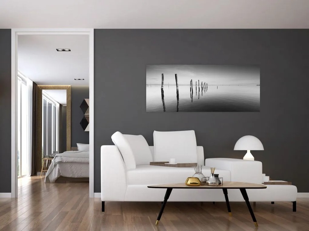 Tablou cu nivelul de lac alb negru (120x50 cm)