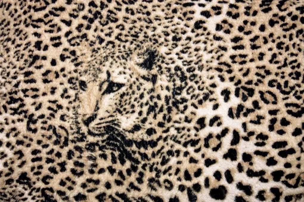 Fototapet - Fiara (152,5x104 cm)
