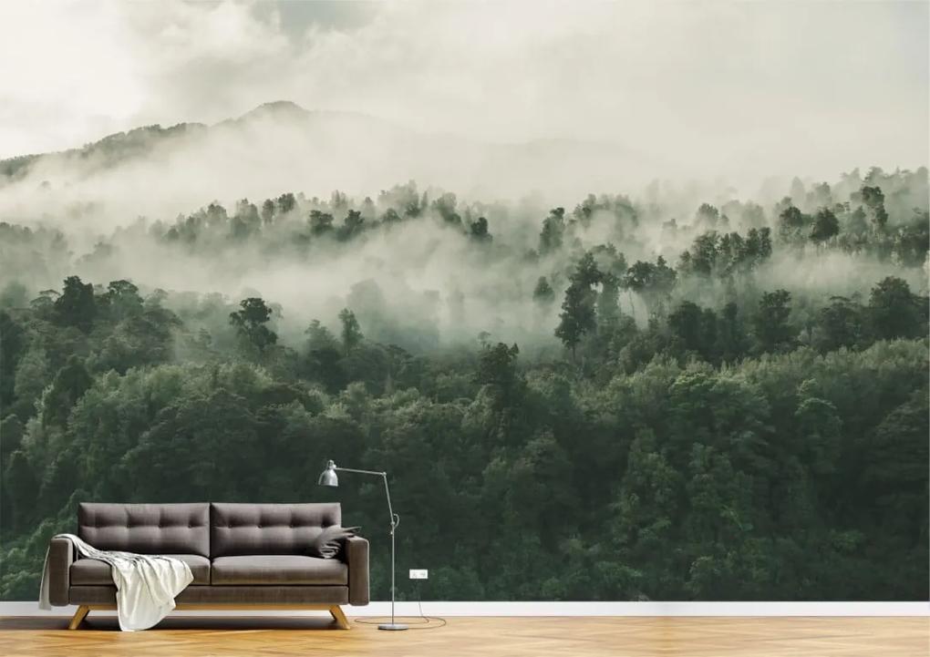 Tapet Premium Canvas - Padurea verde acoperita de ceata