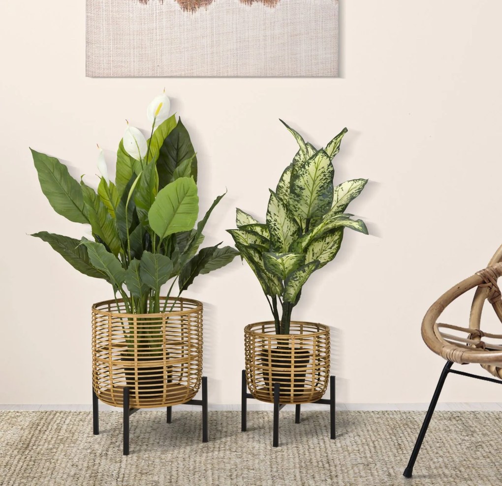 Mauro Ferretti Set Suport De Flori Rattan Cm Ø 41X47-33X39