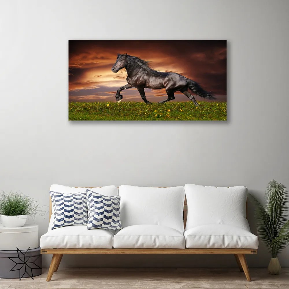 Tablou pe panza canvas Black Horse Meadow Animale Negru Verde Roșu