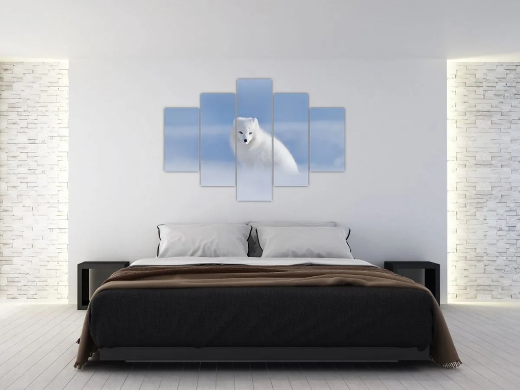 Tablou - Vulpe polară (150x105 cm)