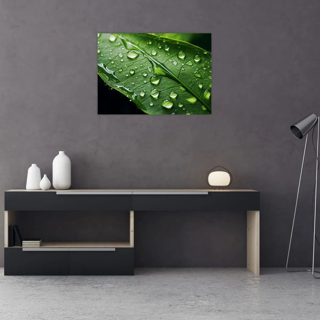 Tablou - Frunză după ploaie (70x50 cm)