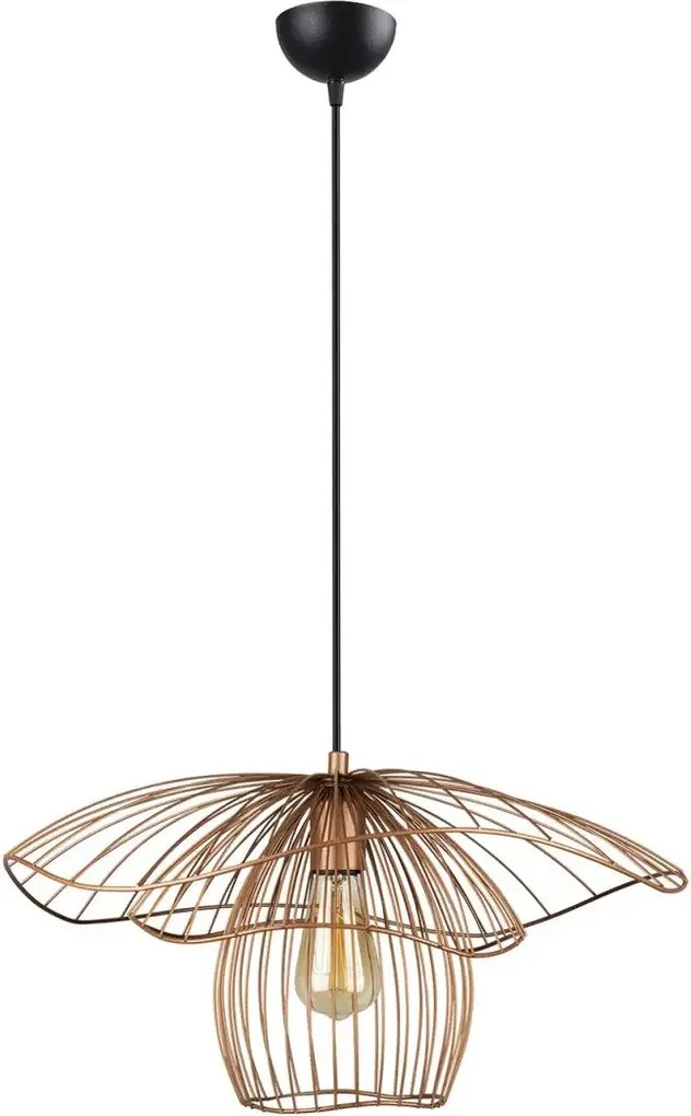 Lustra  auriu homs ro11219