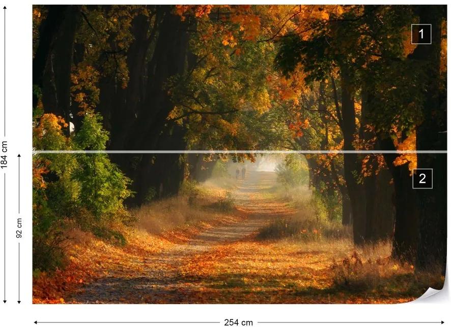Fototapet GLIX - Autumnal Road + adeziv GRATUIT Tapet nețesute - 254x184 cm