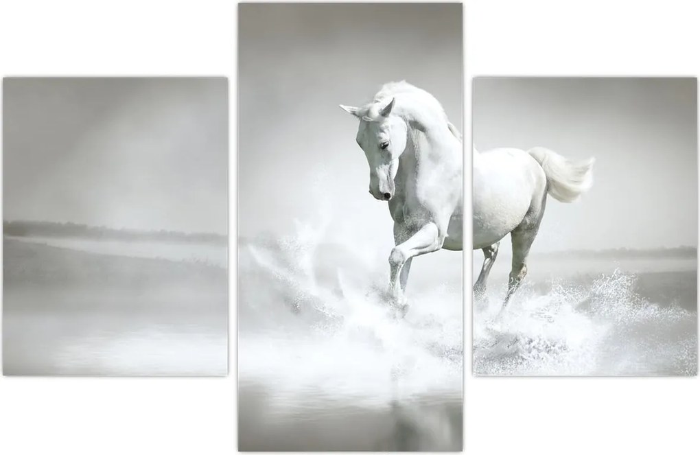 Tablou - Cal alb (90x60 cm)