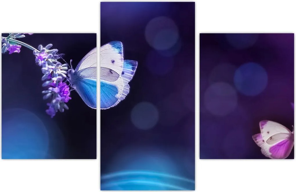 Tablou - Flutute în lavandă (90x60 cm)