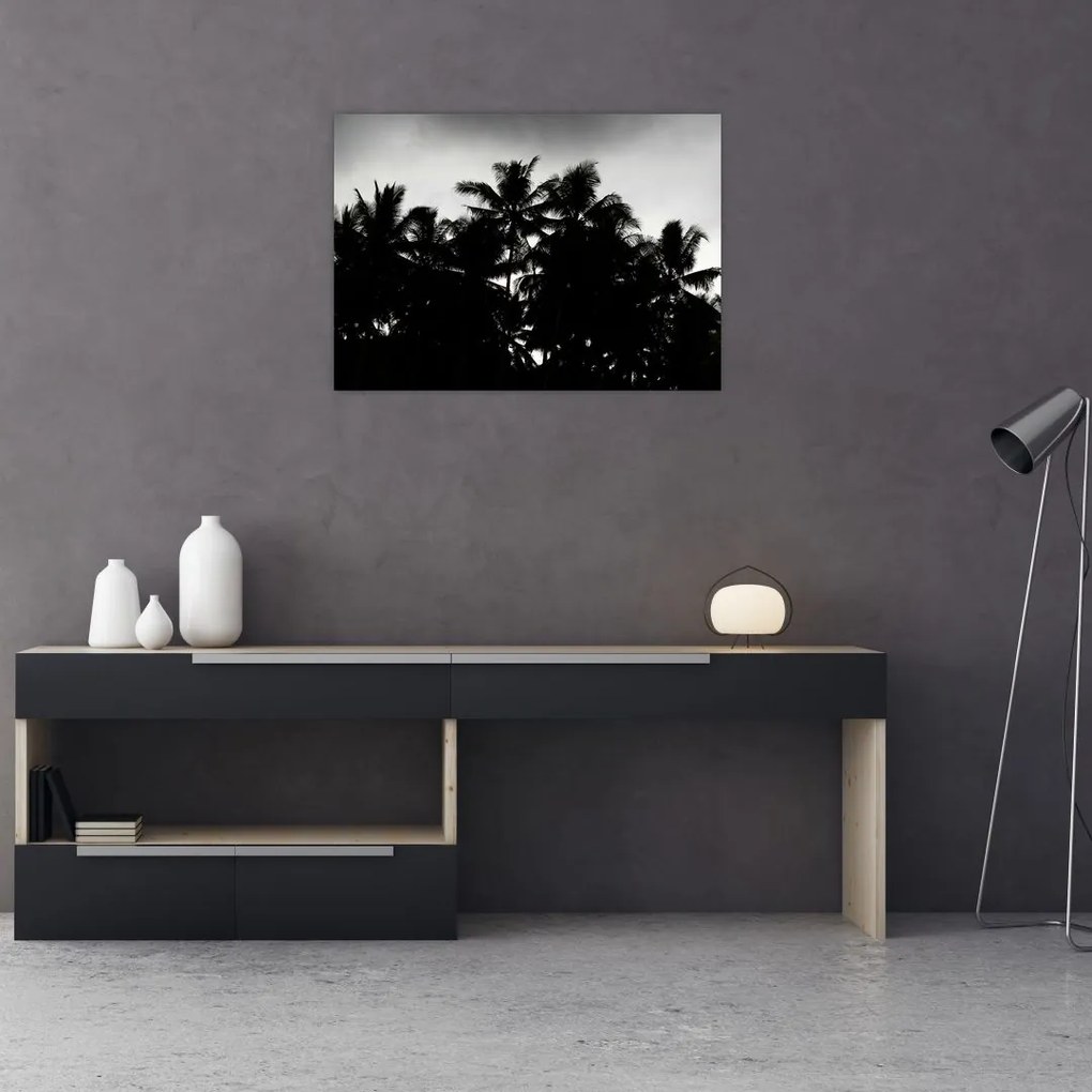 Tablou alb negru - palmieri (70x50 cm)