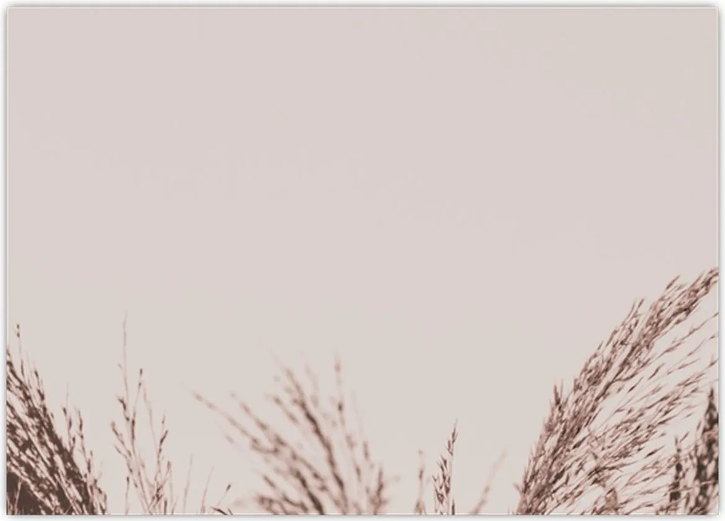 Tablou pe sticlă - Iarbă uscată (70x50 cm)