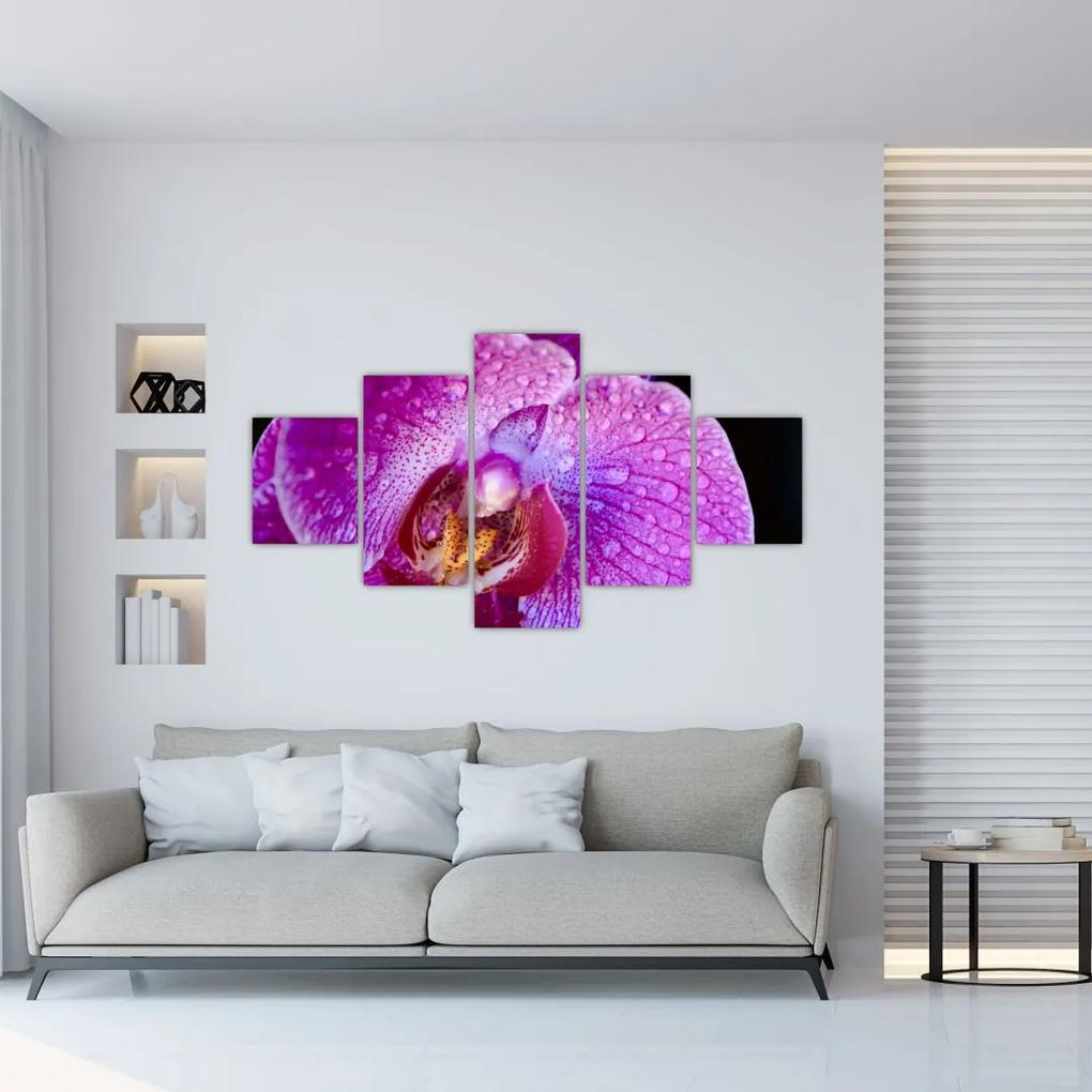 Tablou detailat cu floare de orhidee (125x70 cm), în 40 de alte dimensiuni noi