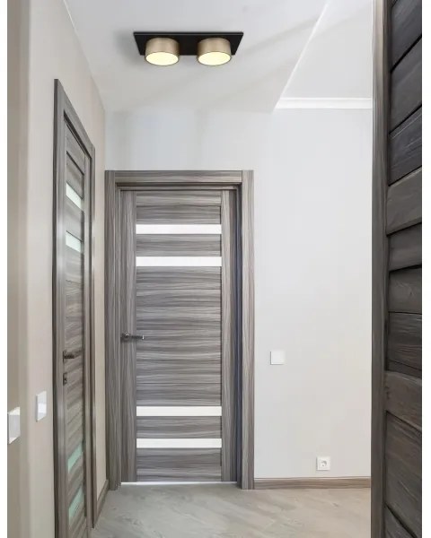 Globo 56964-2 - Plafonieră RAYMOND LED, 24W, 230V, 3000K, 46x20 cm, alamă