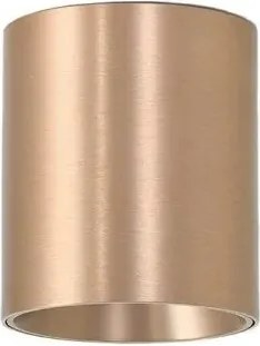 Spot aplicat bronz LED BABIL 15W CCT
