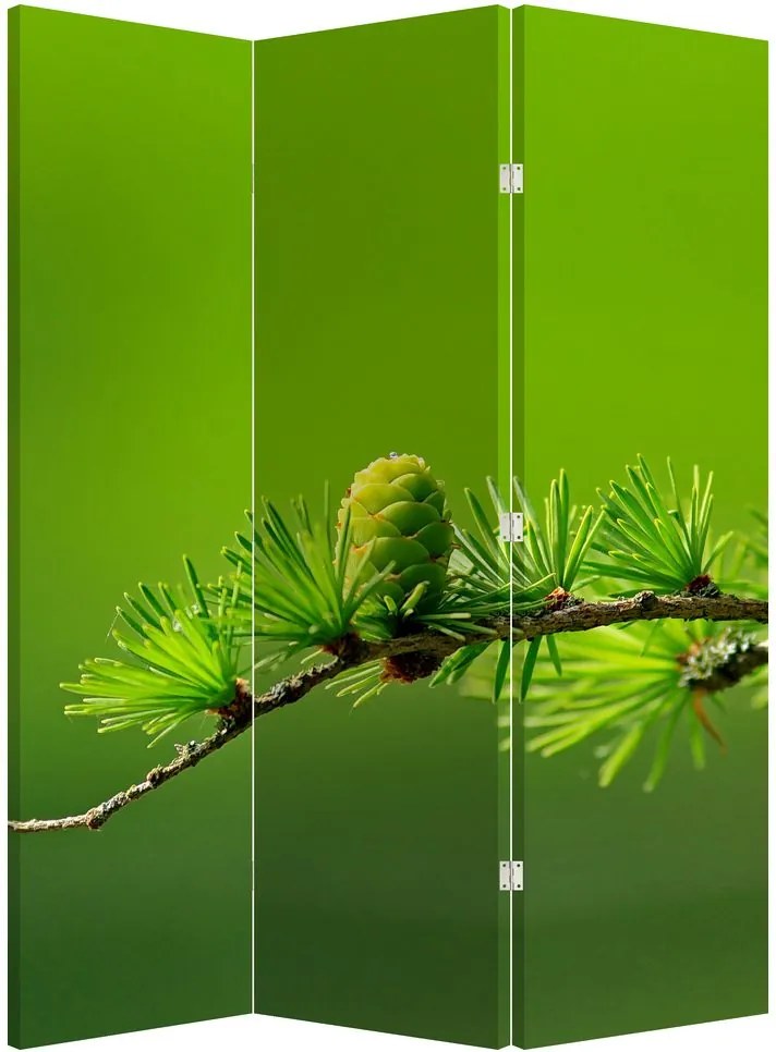 Paravan Con verde (126x170 cm)