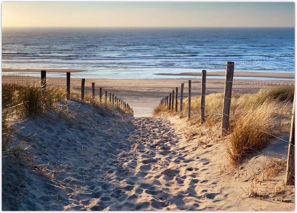 Tablou - Drum spre plaja din Marea Nordului, Țările de Jos (70x50 cm)