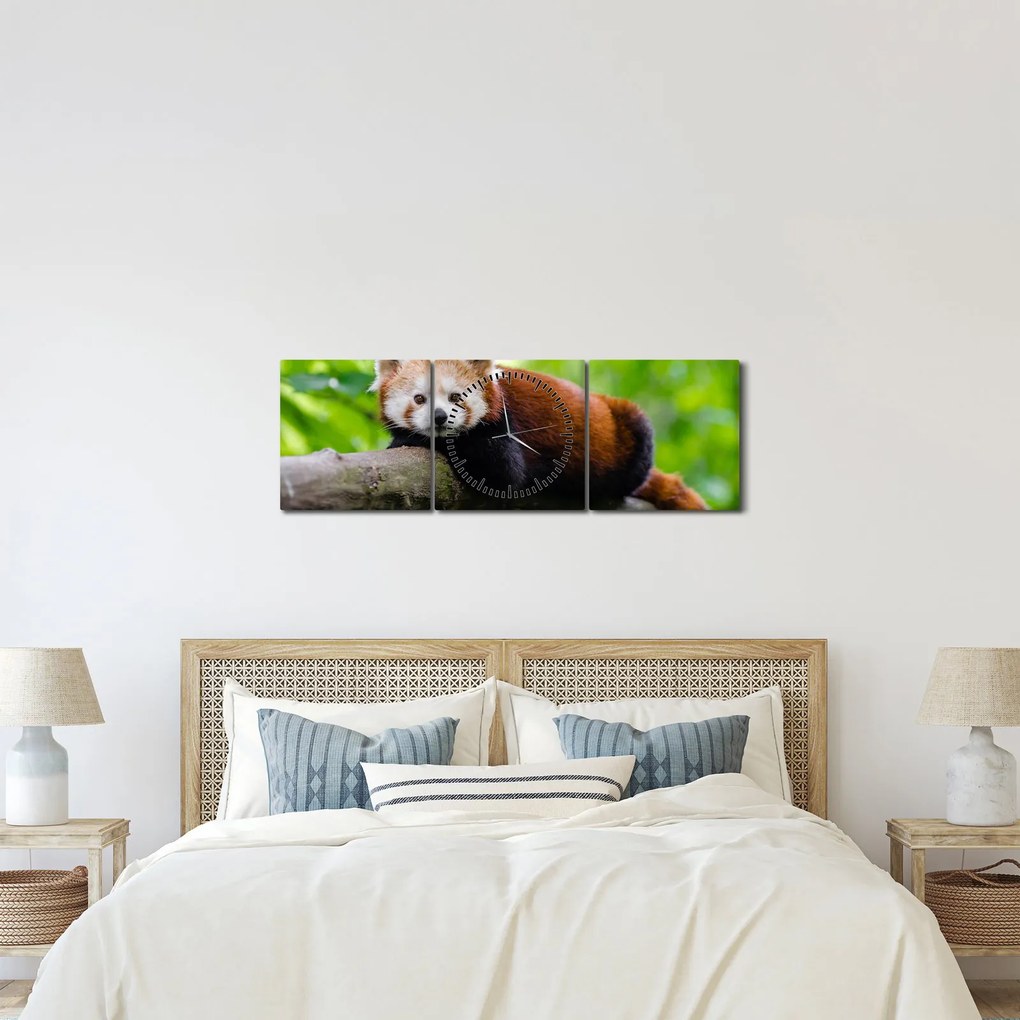 Tablou cu panda roșie (cu ceas) (90x30 cm)