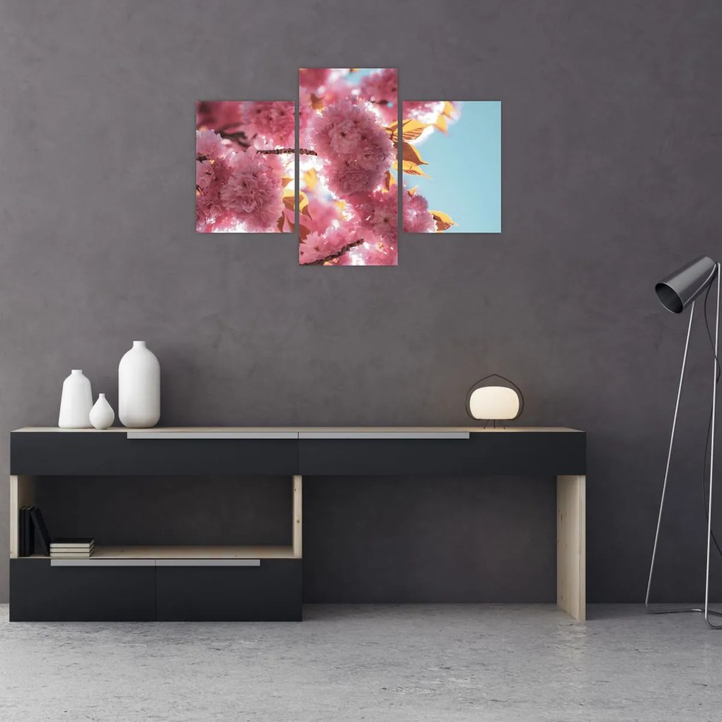 Tablou - Floare de cireș (90x60 cm)