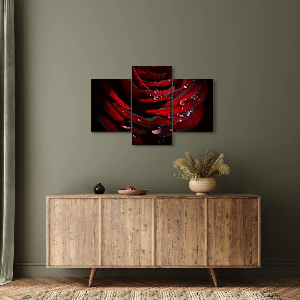Tablou - Trandafir (90x60 cm)