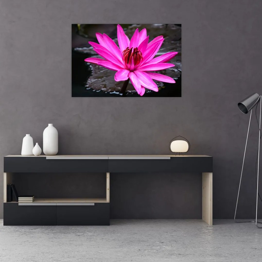Tablou - floarea roz (90x60 cm)