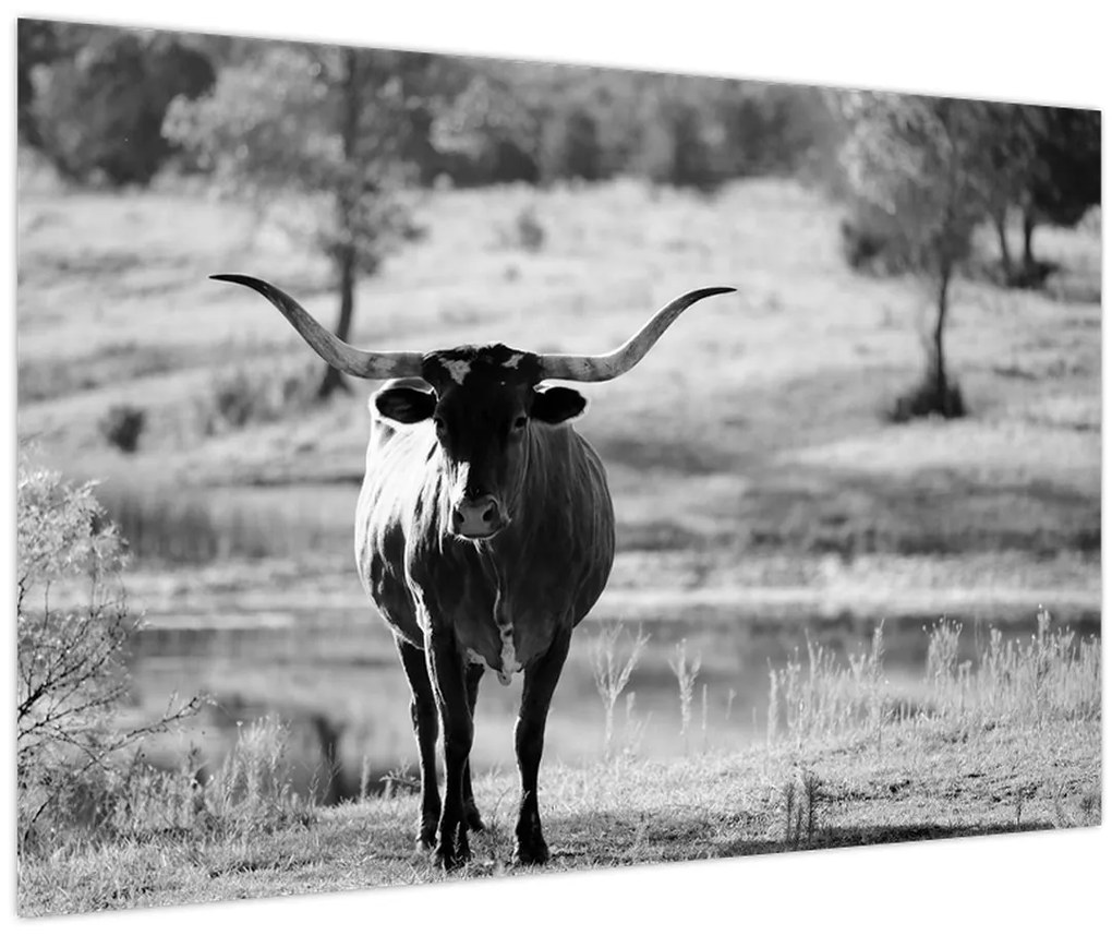 Tablou - Vacă,alb-negru (90x60 cm)
