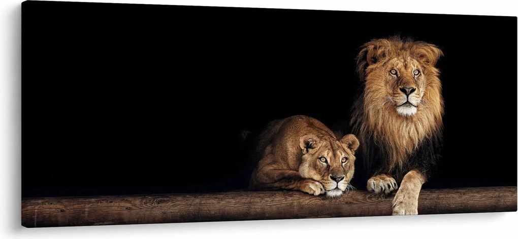 Tablou - Leu și leoaică (120x50 cm)