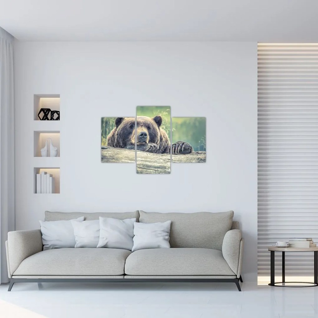Tablou cu urs (90x60 cm)