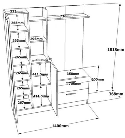 Set de hol Dana White