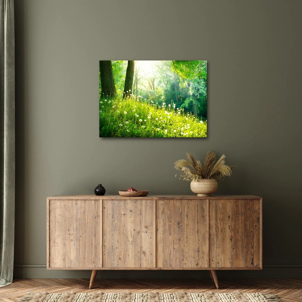Tablou - Pajiște magică plină de păpădii (70x50 cm)