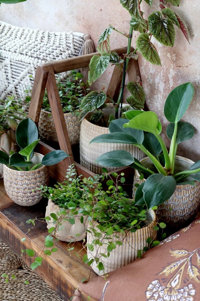 Ghiveci din ceramica, H11/D11 cm, Gaston