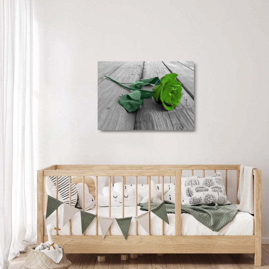 Tablou pe sticlă - Trandafir verde (70x50 cm)