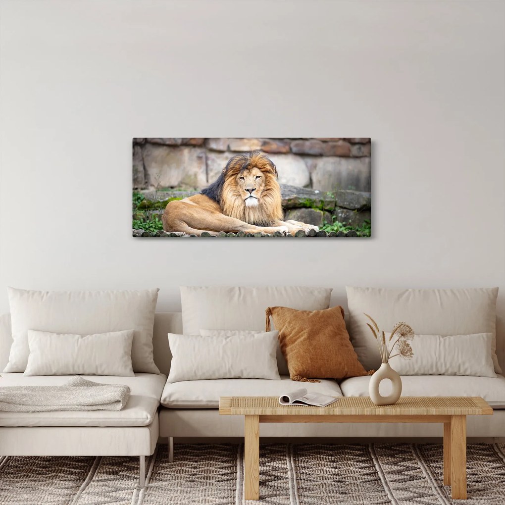Tablou cu leu (120x50 cm)