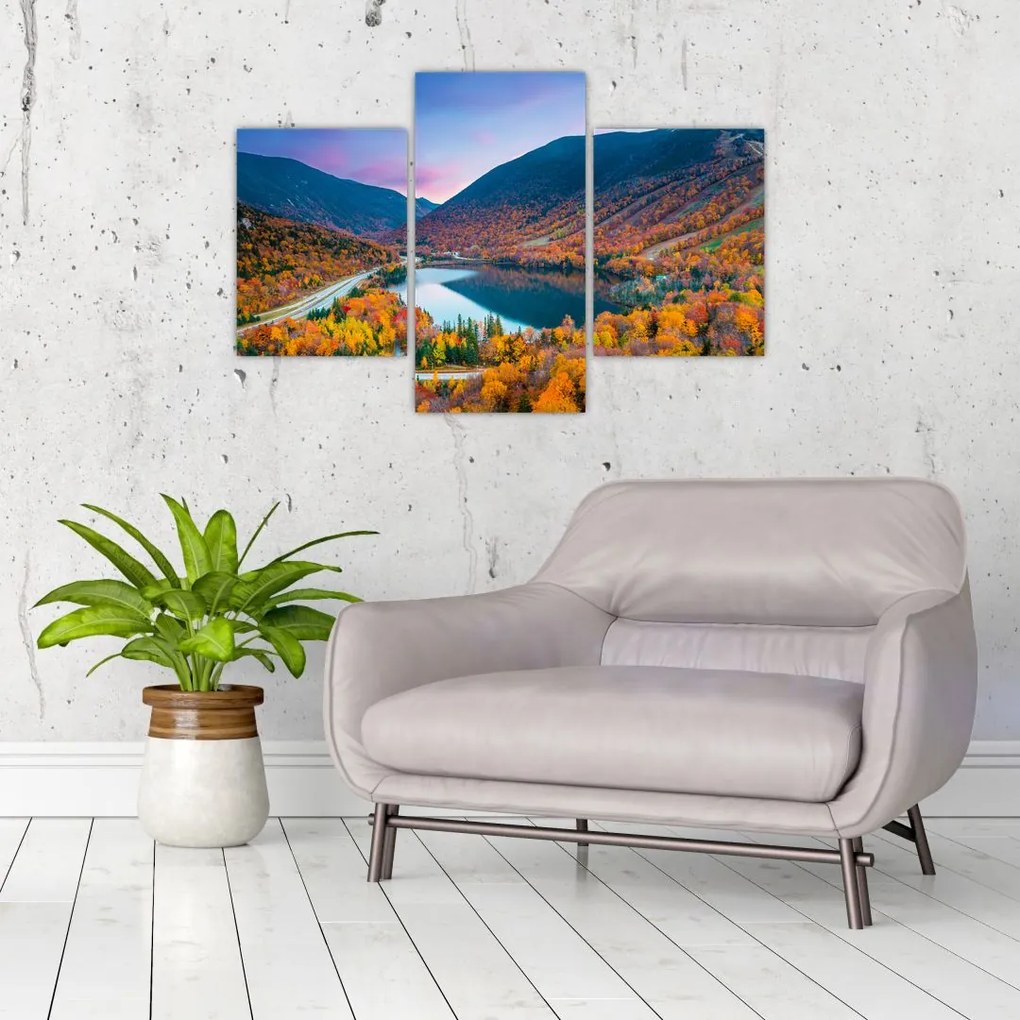 Tablou - White Mountain, New Hampshire, USA (90x60 cm)