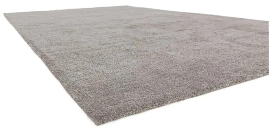 Covor gri deschis 160x230 cm Milo – Asiatic Carpets