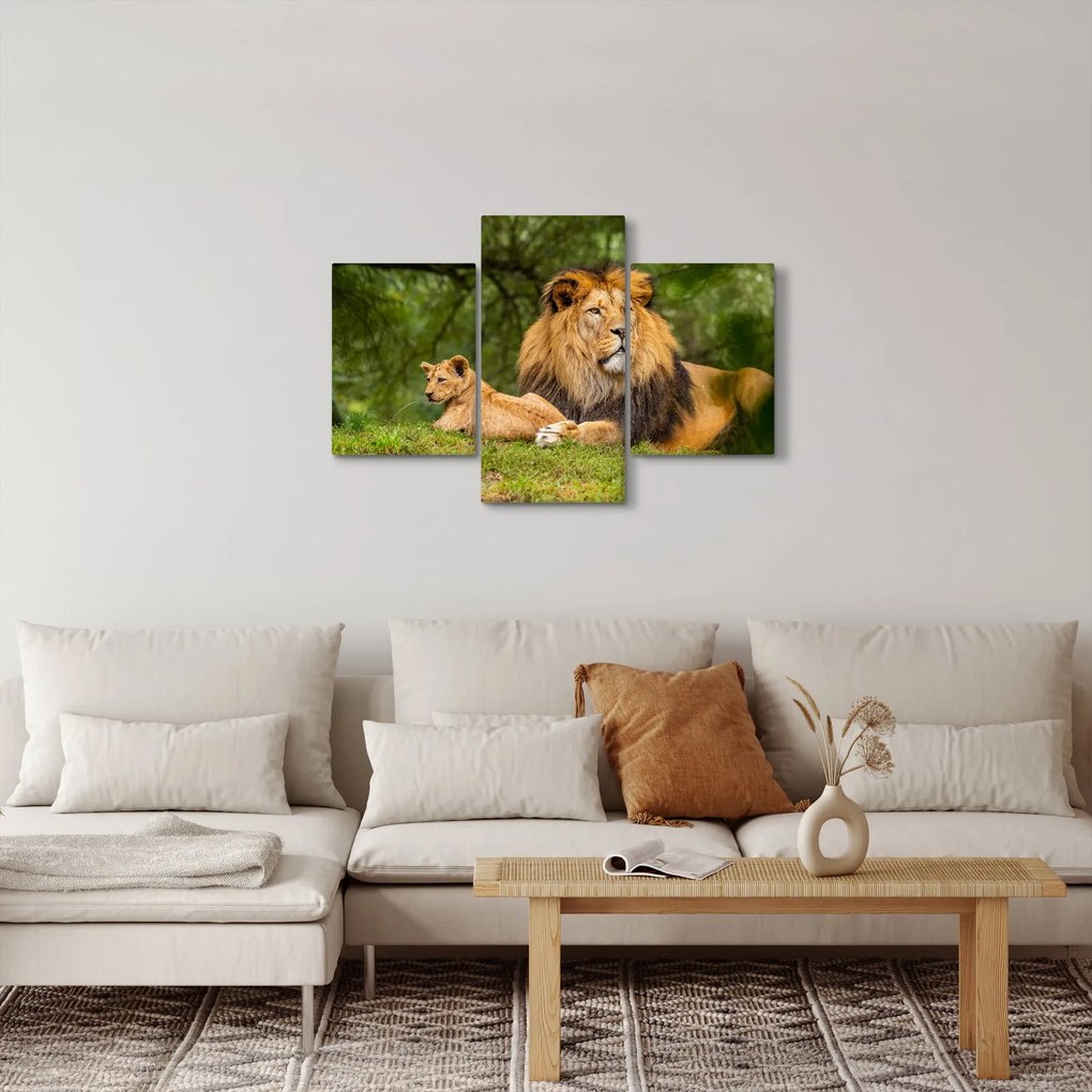 Tablou cu lei (90x60 cm)