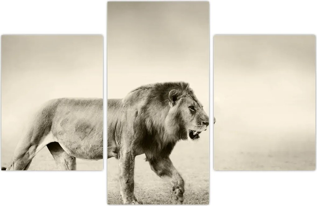 Tablou - Leul flămând (90x60 cm)