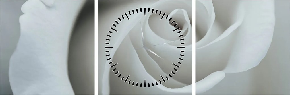 Tablou - Trandafirul alb (cu ceas) (90x30 cm)