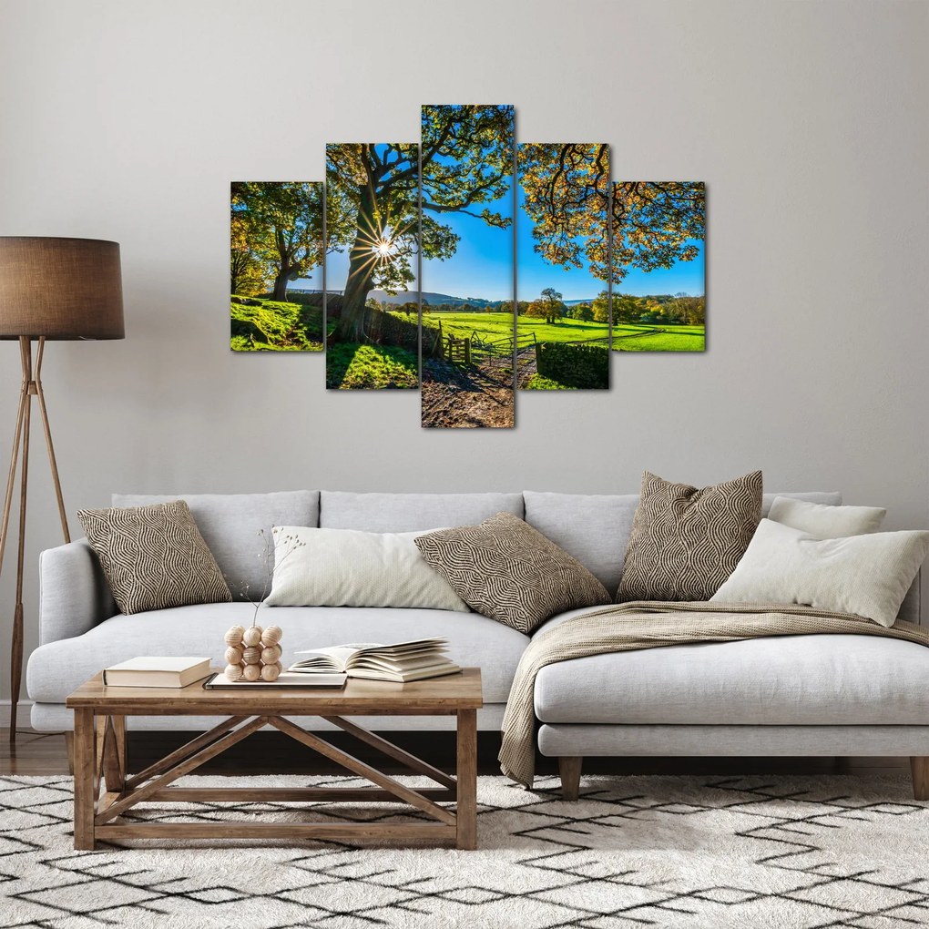 Tablou Privire la câmp (150x105 cm)