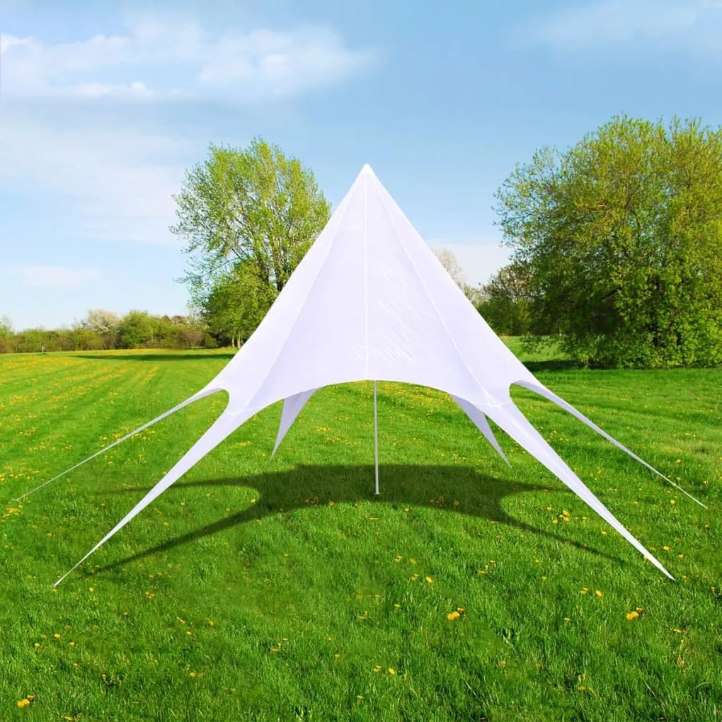 vidaXL Pavilion de grădină în formă de stea hexagonală, 10 m