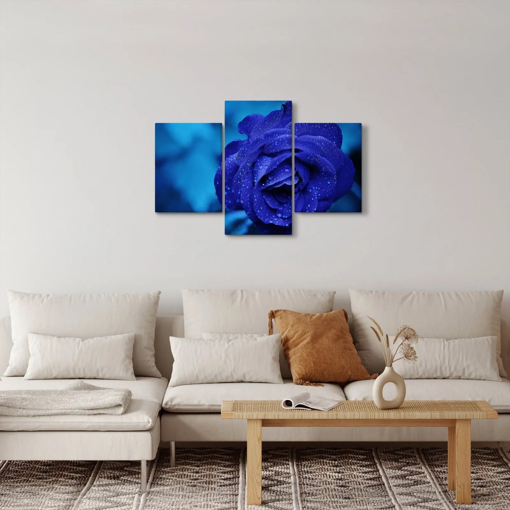 Tablou cu trandafir albastru (90x60 cm)