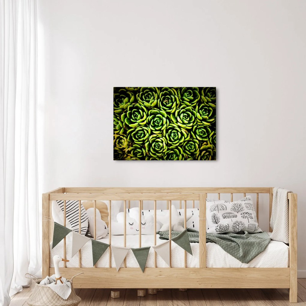 Tablou cu flori de piatră (70x50 cm)